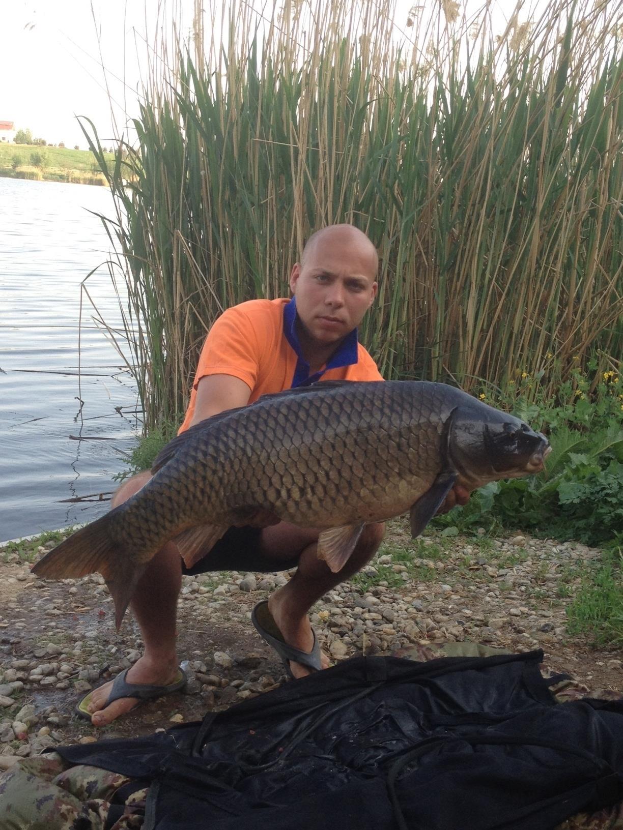 Diverse Partide - claudiutancabesti.JPG